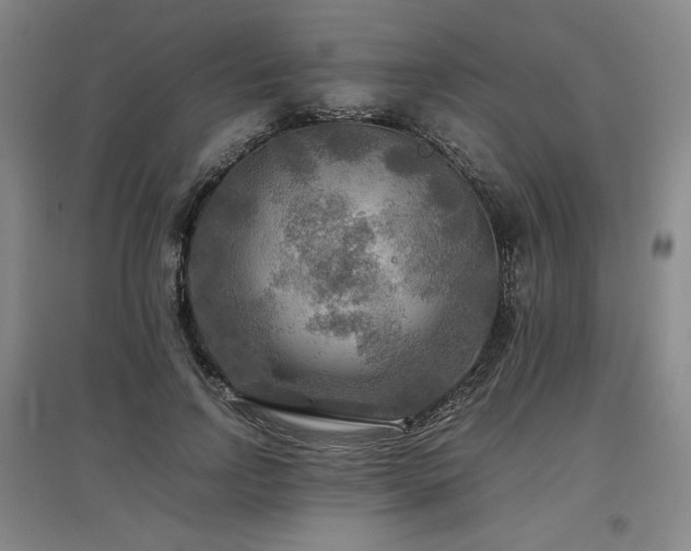 X0000097480742200802221351