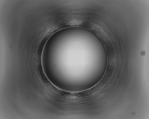 X0000097480743200802221351