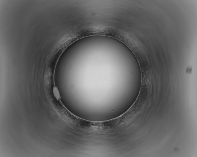 X0000097480744200802221351