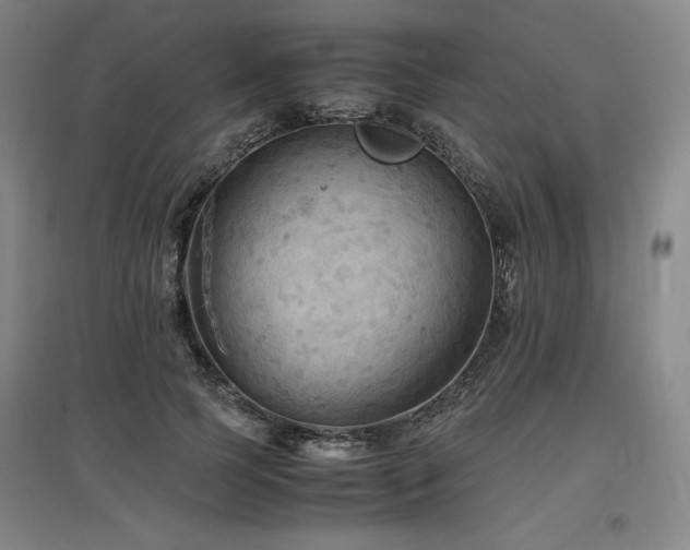 X0000097480745200802221351