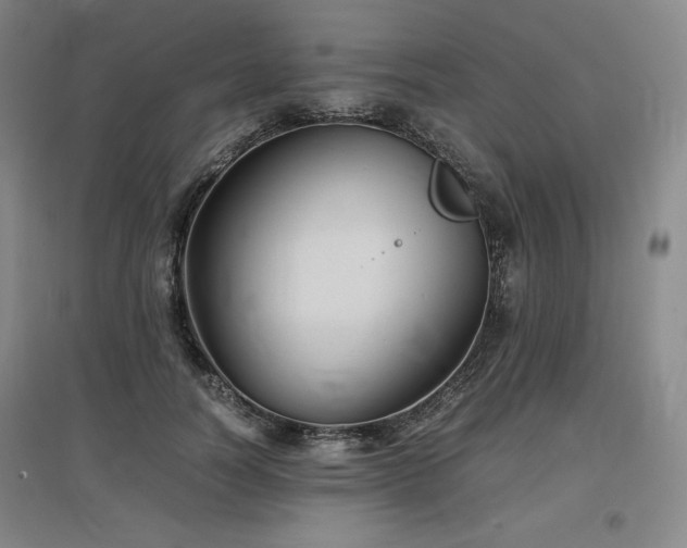 X0000097480746200802221352