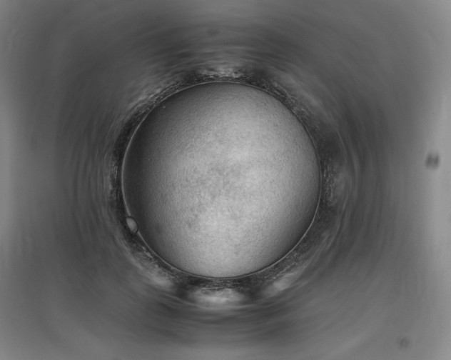 X0000097480747200802221352