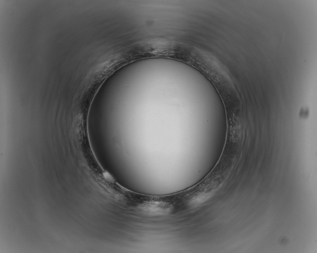 X0000097480748200802221352