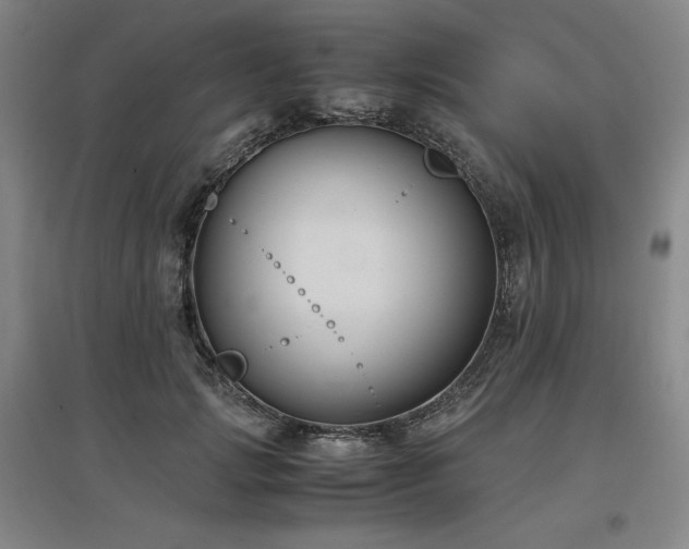 X0000097480749200802221352