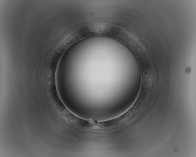 X0000097480750200802221352