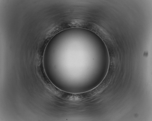 X0000097480751200802221352