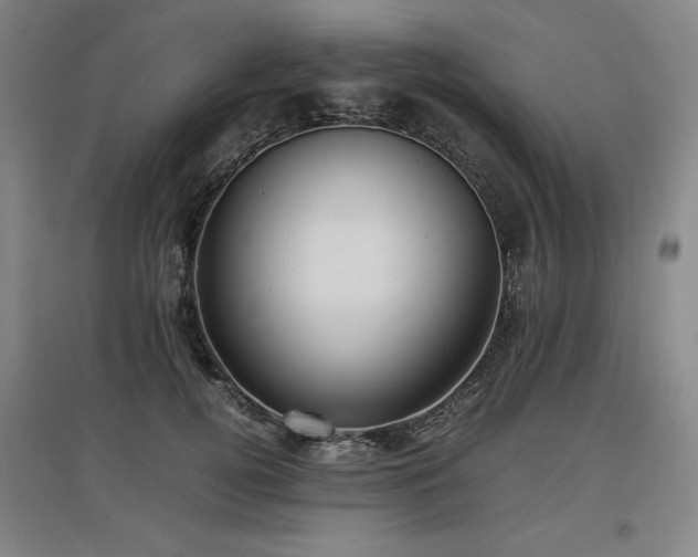 X0000097480752200802221352
