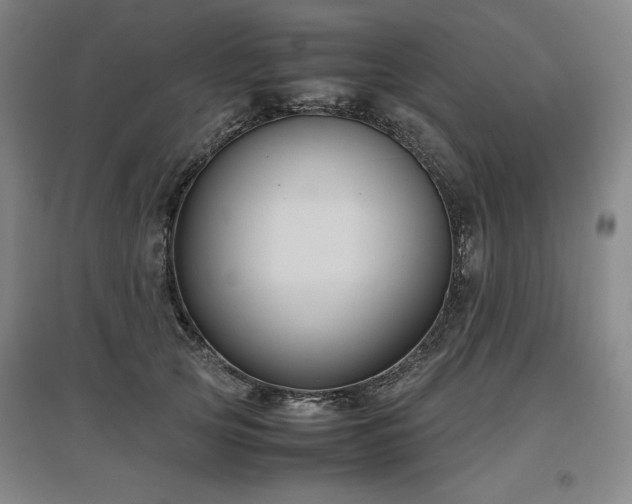 X0000097480753200802221352