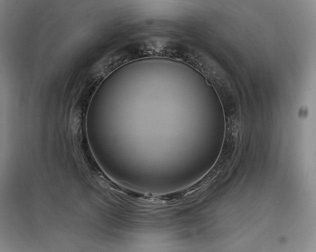 X0000097480754200802221352