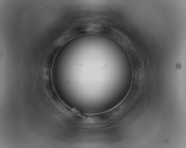X0000097480755200802221352