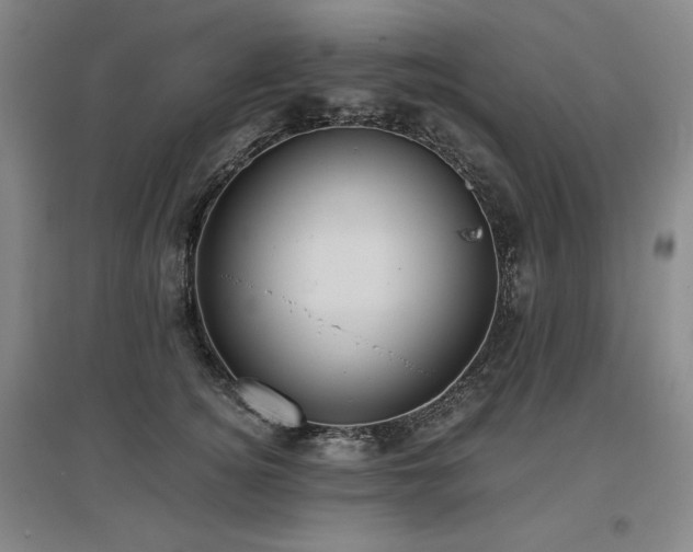 X0000097480756200802221352