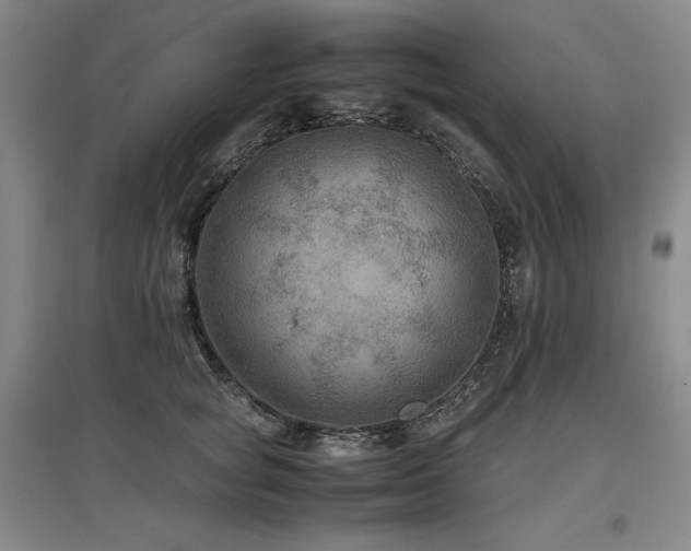 X0000097480757200802221352