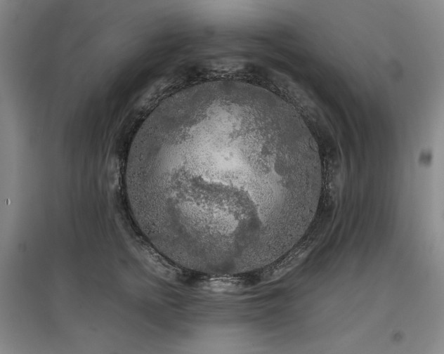 X0000097480758200802221352