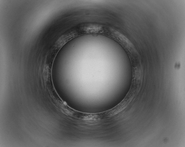 X0000097480761200802221352
