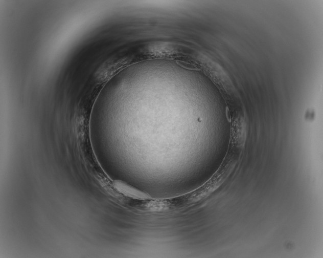X0000097480762200802221352