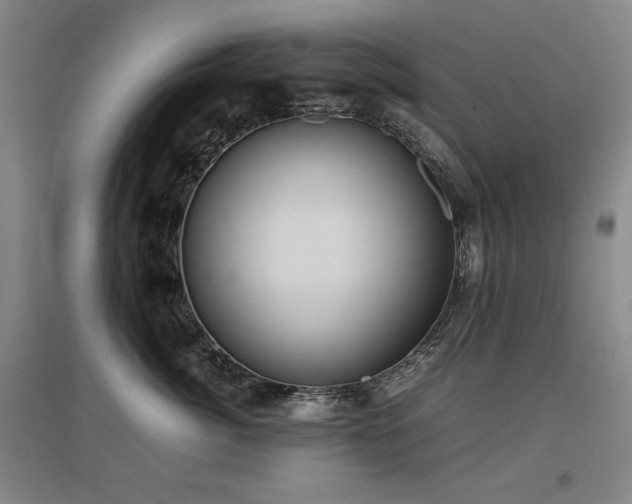 X0000097480764200802221352