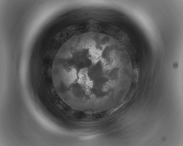 X0000097480765200802221352