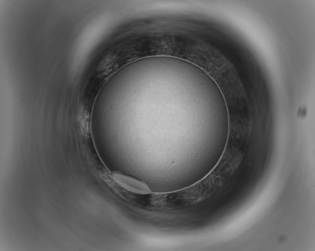 X0000097480766200802221352