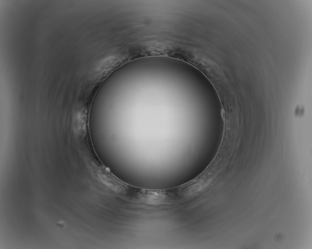 X0000097480768200802221352