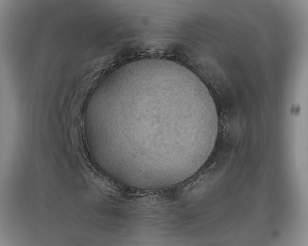 X0000097480769200802221351
