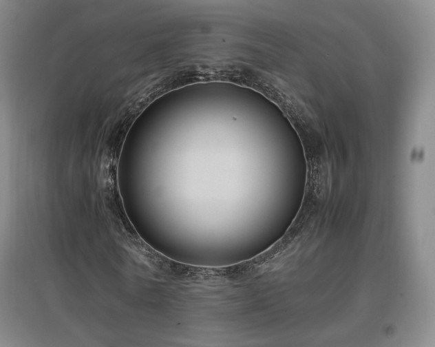 X0000097480770200802221351