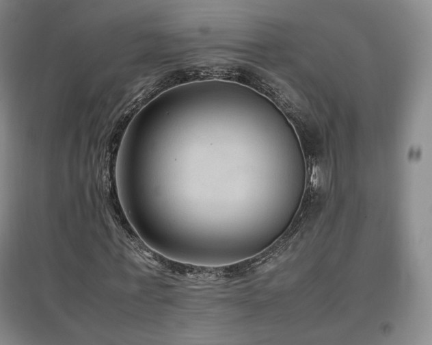 X0000097480771200802221351