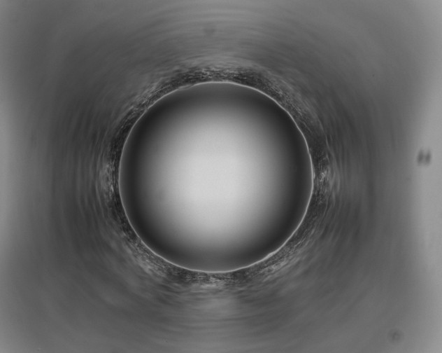 X0000097480772200802221351