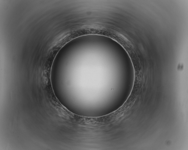 X0000097480774200802221351
