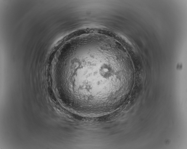 X0000097480775200802221351