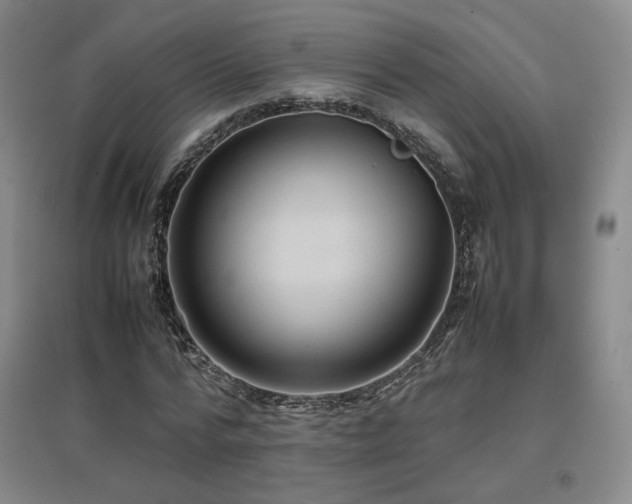 X0000097480776200802221351