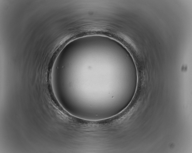 X0000097480777200802221351