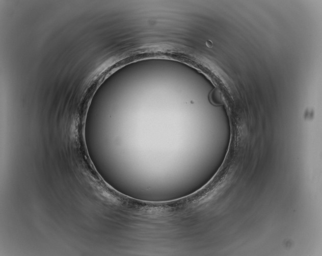 X0000097480778200802221351