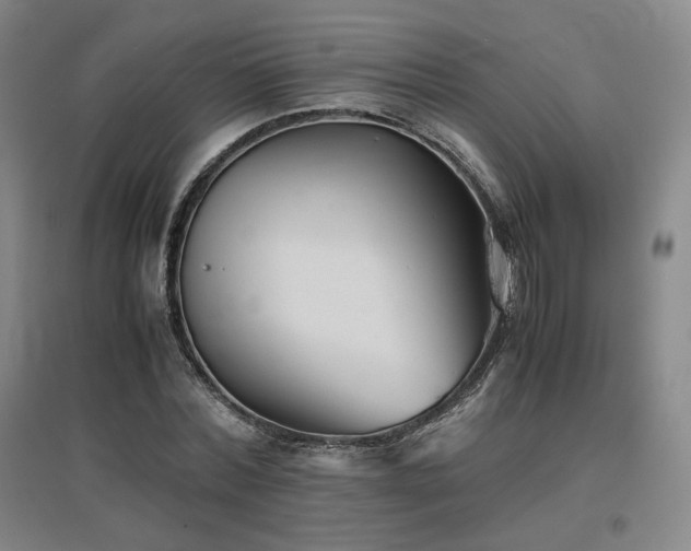X0000097480780200802221351