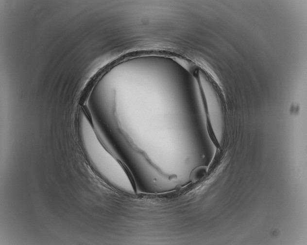 X0000097480781200802221351