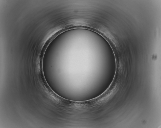 X0000097480782200802221351