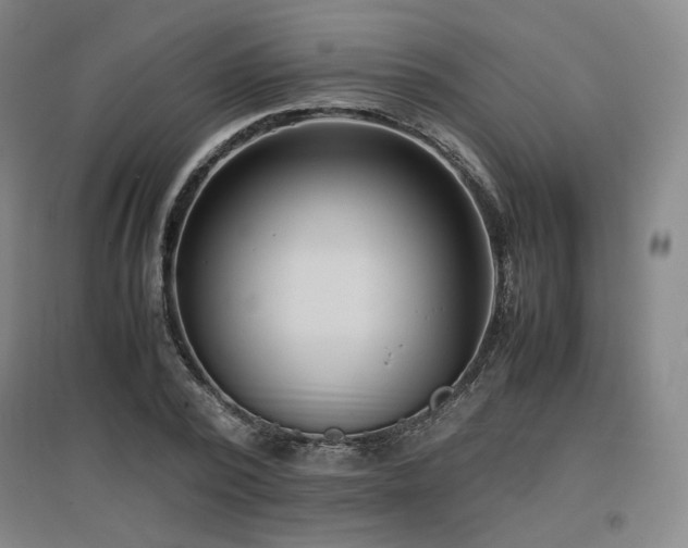 X0000097480784200802221351