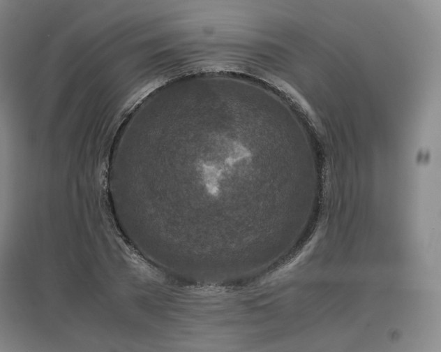 X0000097480785200802221351