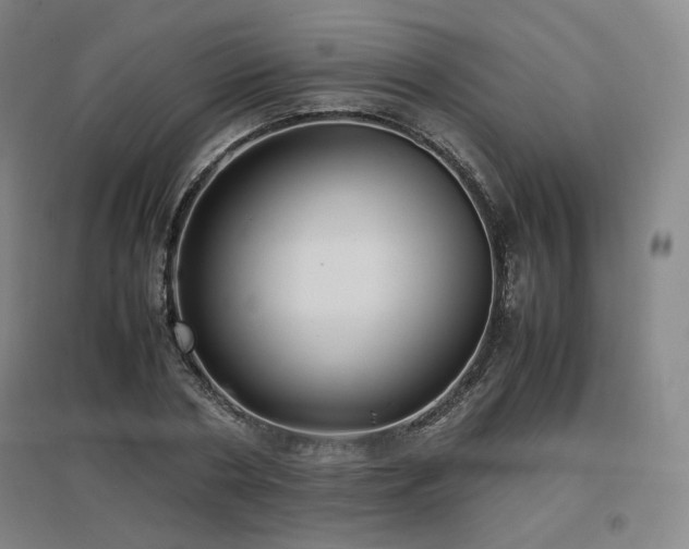 X0000097480786200802221351
