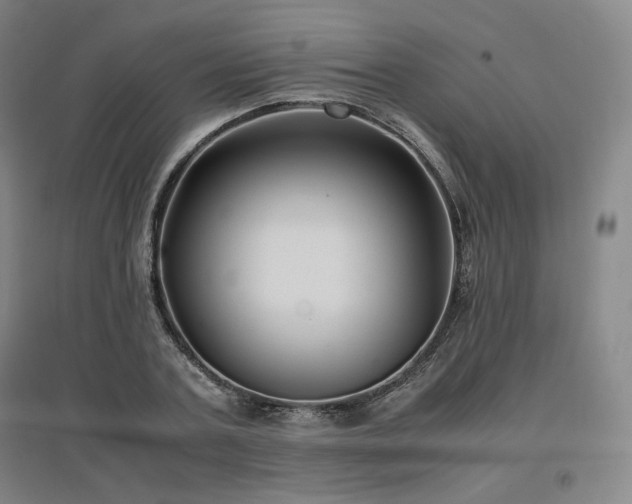 X0000097480787200802221351