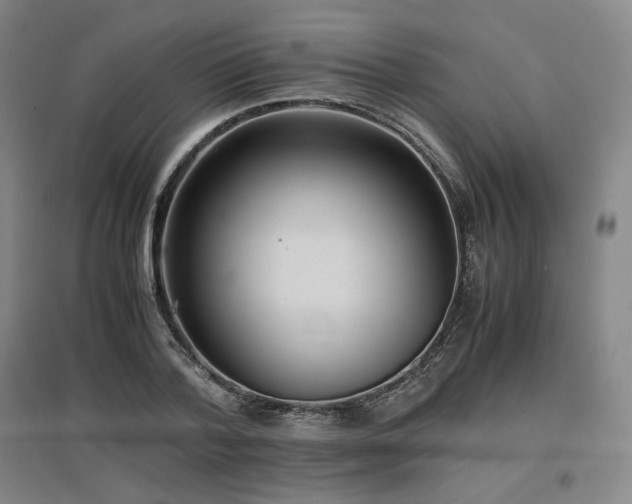 X0000097480788200802221351