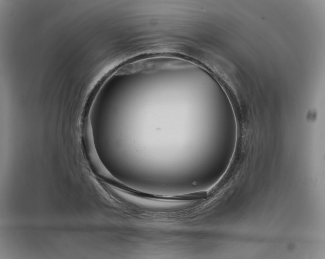 X0000097480789200802221351