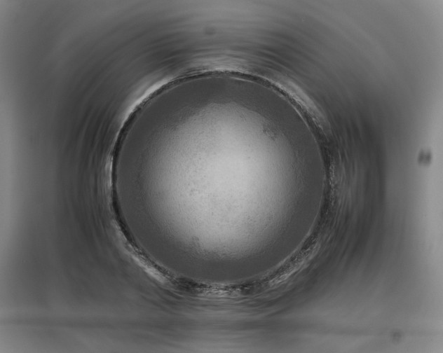 X0000097480790200802221351