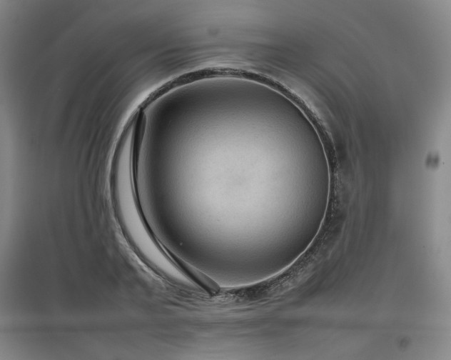 X0000097480791200802221351