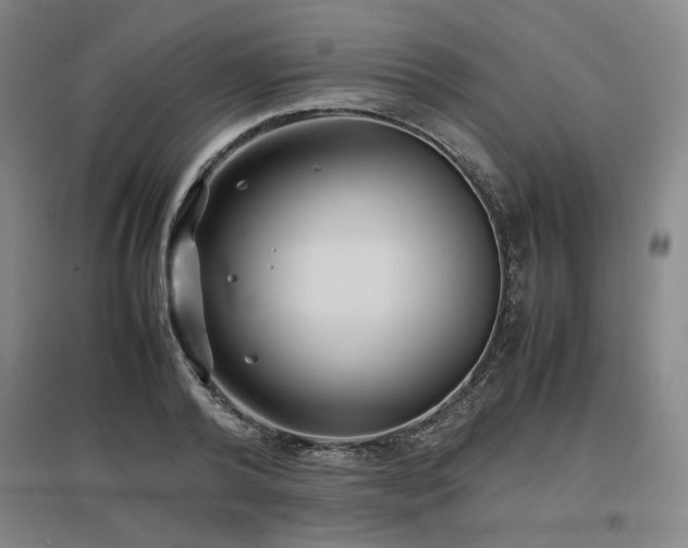 X0000097480792200802221351