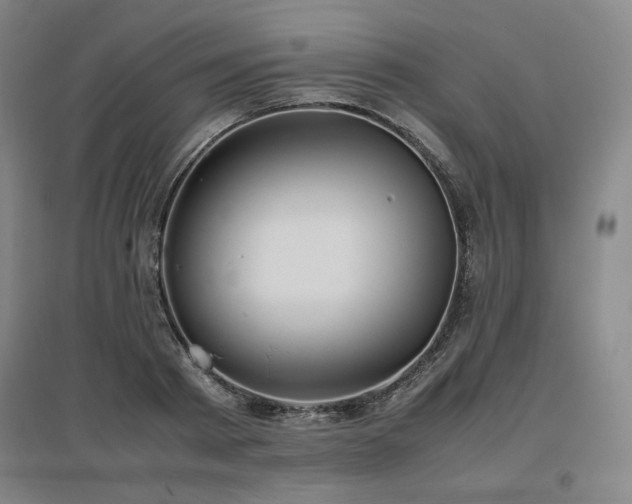 X0000097480793200802221351