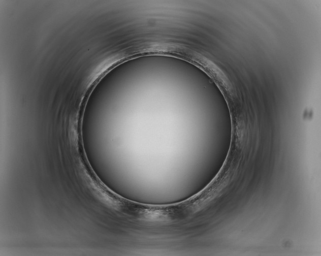 X0000097480794200802221351
