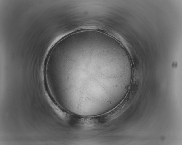 X0000097480795200802221351