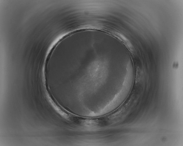 X0000097480796200802221351