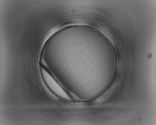 X0000097480797200802221351