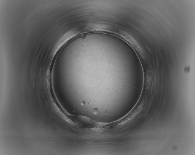 X0000097480798200802221351